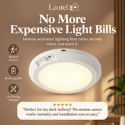 Laurel™ Motion Sensor Ceiling Light
